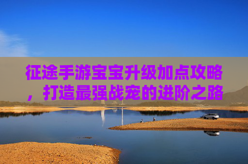 征途手游宝宝升级加点攻略,打造最强战宠的进阶之路,征途手游宝宝升级加点攻略,打造最强战宠的进阶之路