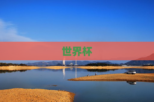世界杯