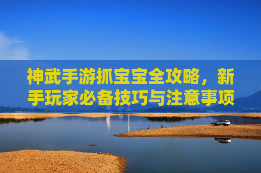神武手游抓宝宝全攻略,新手玩家必备技巧与注意事项