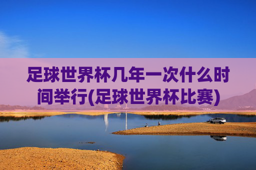 足球世界杯几年一次什么时间举行(足球世界杯比赛)