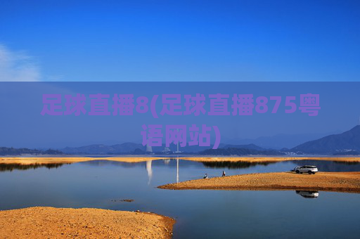 足球直播8(足球直播875粤语网站)