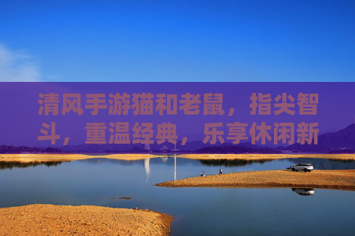 清风手游猫和老鼠,指尖智斗,重温经典,乐享休闲新体验