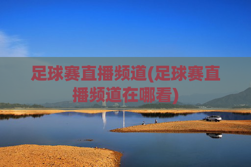 足球赛直播频道(足球赛直播频道在哪看)