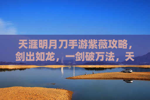 天涯明月刀手游紫薇攻略,剑出如龙,一剑破万法,天涯明月刀手游紫薇攻略,剑出如龙,一剑破万法