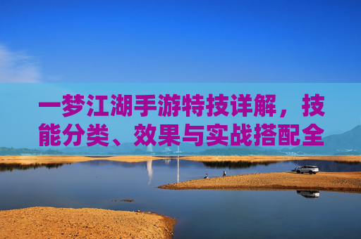 一梦江湖手游特技详解，技能分类、效果与实战搭配全解析，一梦江湖手游特技详解，技能分类、效果与实战搭配全解析