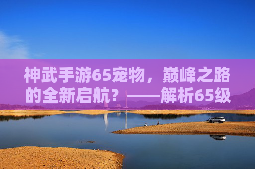 神武手游65宠物,巅峰之路的全新启航?——解析65级宠物在游戏中的战略价值与养成策略,神武手游65宠物,巅峰之路的全新启航?——解析其在游戏中的战略价值与养成策略