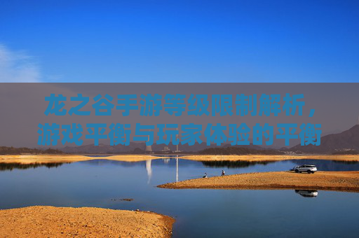 龙之谷手游等级限制解析，游戏平衡与玩家体验的平衡之道，龙之谷手游等级限制解析，游戏平衡与玩家体验的平衡之道