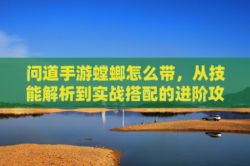 问道手游螳螂怎么带，从技能解析到实战搭配的进阶攻略，问道手游螳螂带法，技能解析与实战搭配进阶攻略