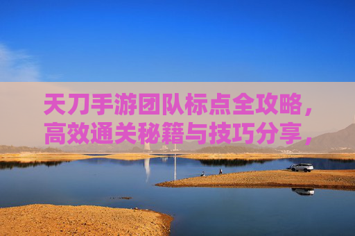 天刀手游团队标点全攻略，高效通关秘籍与技巧分享，天刀手游团队标点全攻略，高效通关秘籍与技巧分享