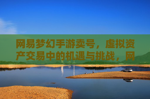 网易梦幻手游卖号,虚拟资产交易中的机遇与挑战,网易梦幻手游卖号,虚拟资产交易中的机遇与挑战