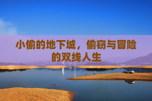 小偷的地下城,偷窃与冒险的双线人生