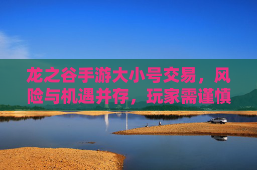 龙之谷手游大小号交易,风险与机遇并存,玩家需谨慎应对