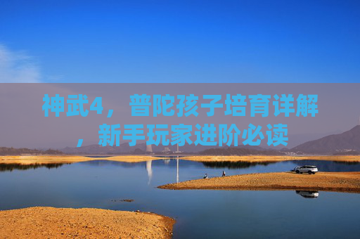 神武4,普陀孩子培育详解,新手玩家进阶必读