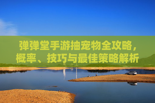 弹弹堂手游抽宠物全攻略，概率、技巧与最佳策略解析