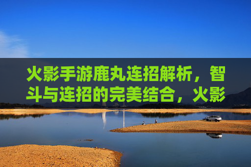 火影手游鹿丸连招解析,智斗与连招的完美结合,火影手游鹿丸连招解析,智斗与连招的完美结合