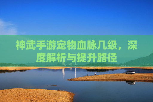 神武手游宠物血脉几级,深度解析与提升路径