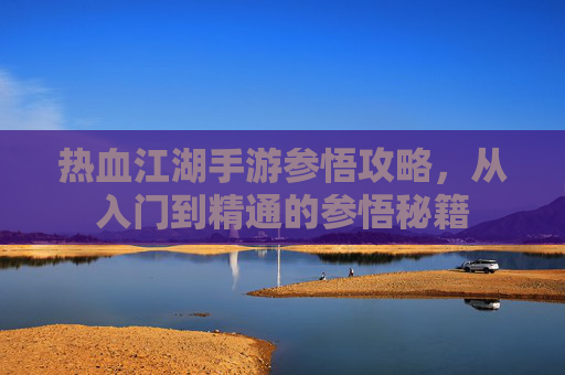 热血江湖手游参悟攻略,从入门到精通的参悟秘籍