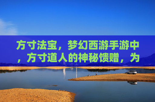 方寸法宝，梦幻西游手游中，方寸道人的神秘馈赠，为玩家闯关升级注入辅助之力，方寸法宝，梦幻西游手游中方寸道人的神秘馈赠，助力玩家闯关升级