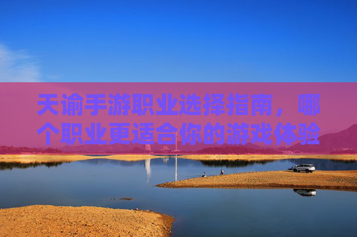 天谕手游职业选择指南，哪个职业更适合你的游戏体验？天谕手游职业选择指南，哪个职业更适合你的游戏体验？