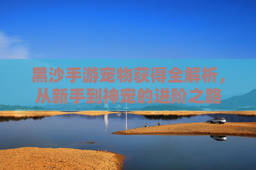 黑沙手游宠物获得全解析，从新手到神宠的进阶之路