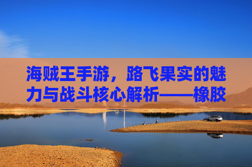 海贼王手游，路飞果实的魅力与战斗核心解析——橡胶果实的游戏化传奇，海贼王手游，路飞果实的魅力与战斗核心解析——橡胶果实的游戏化传奇