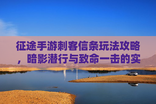 征途手游刺客信条玩法攻略，暗影潜行与致命一击的实战技巧解析，征途手游刺客信条玩法攻略，暗影潜行与致命一击的实战技巧解析