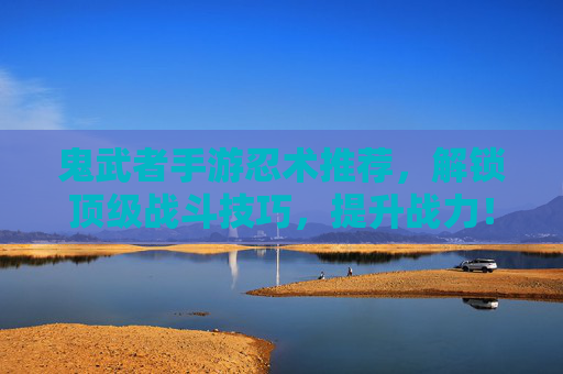 鬼武者手游忍术推荐,解锁顶级战斗技巧,提升战力!鬼武者手游忍术推荐,解锁顶级战斗技巧,提升战力!