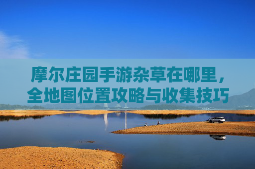 摩尔庄园手游杂草在哪里,全地图位置攻略与收集技巧