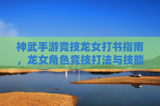 神武手游竞技龙女打书指南，龙女角色竞技打法与技能书搭配解析，神武手游竞技龙女打书指南，角色竞技打法与技能书搭配解析