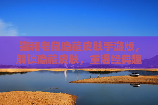 猫和老鼠隐藏皮肤手游版，解锁隐藏皮肤，重温经典趣味，开启汤姆与杰瑞的隐藏冒险之旅，猫和老鼠隐藏皮肤手游版，解锁隐藏皮肤，重温经典趣味，开启汤姆与杰瑞的隐藏冒险之旅