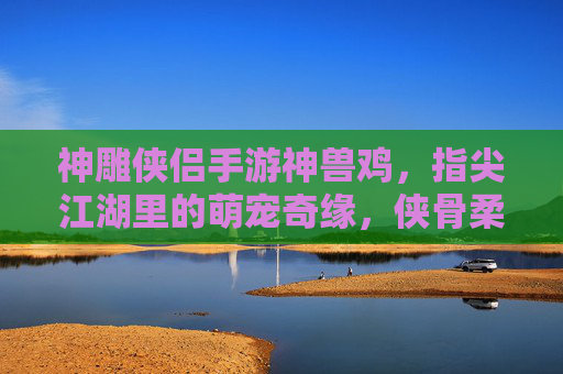神雕侠侣手游神兽鸡,指尖江湖里的萌宠奇缘,侠骨柔情下的治愈担当