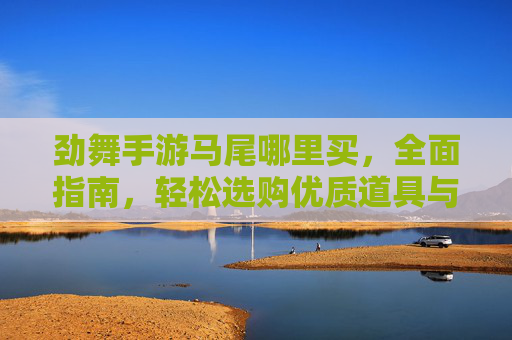 劲舞手游马尾哪里买,全面指南,轻松选购优质道具与装备