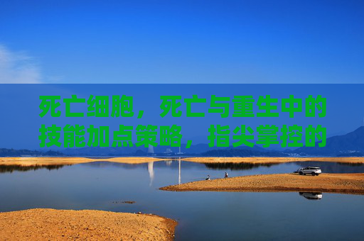 死亡细胞,死亡与重生中的技能加点策略,指尖掌控的极限生存挑战,死亡细胞,死亡与重生中的技能加点策略,指尖掌控的极限生存挑战