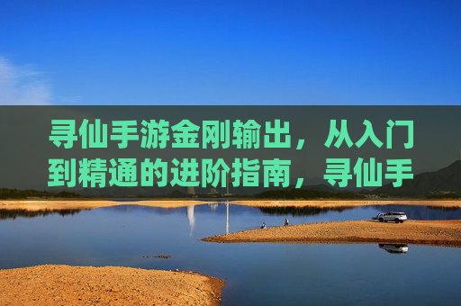 寻仙手游金刚输出，从入门到精通的进阶指南，寻仙手游金刚输出，从入门到精通的进阶指南
