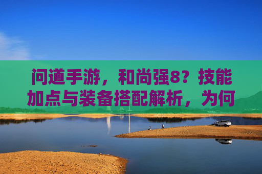 问道手游，和尚强8？技能加点与装备搭配解析，为何角色进阶如此高效？