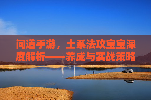问道手游，土系法攻宝宝深度解析——养成与实战策略全指南，问道手游土系法攻宝宝深度解析——养成与实战策略全指南