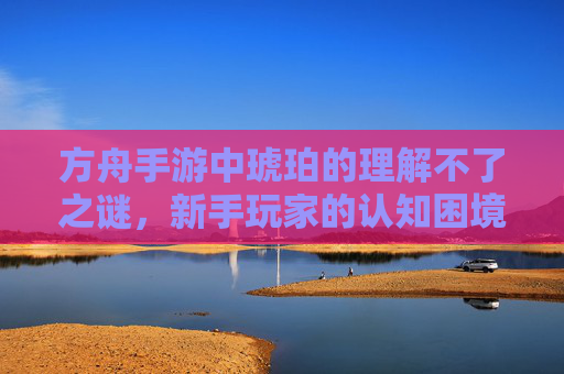 方舟手游中琥珀的理解不了之谜,新手玩家的认知困境与角色价值的再解读,方舟手游中琥珀的理解不了之谜,新手玩家的认知困境与角色价值再解读