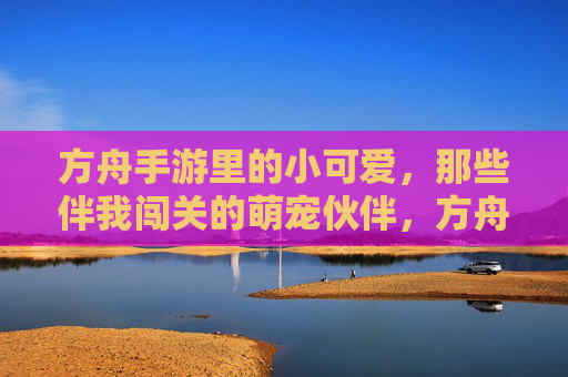 方舟手游里的小可爱,那些伴我闯关的萌宠伙伴,方舟手游里的小可爱,那些伴我闯关的萌宠伙伴
