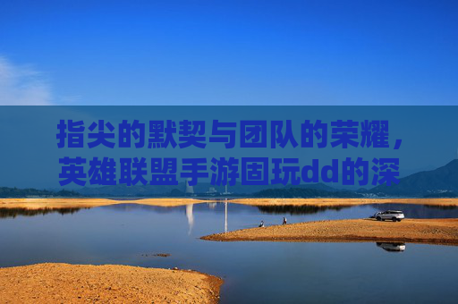 指尖的默契与团队的荣耀，英雄联盟手游固玩dd的深度解析，指尖的默契与团队的荣耀，英雄联盟手游固玩dd的深度解析
