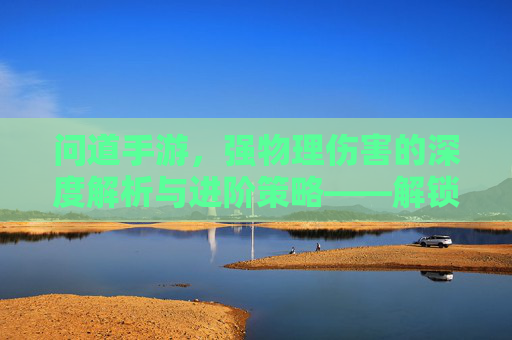 问道手游，强物理伤害的深度解析与进阶策略——解锁强物理流的无限可能，问道手游，强物理伤害的深度解析与进阶策略——解锁强物理流的无限可能