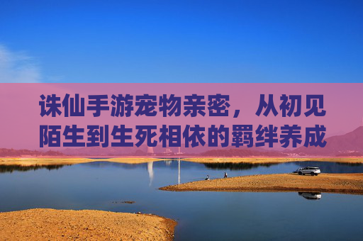 诛仙手游宠物亲密,从初见陌生到生死相依的羁绊养成,诛仙手游宠物亲密羁绊养成,从初见陌生到生死相依的羁绊