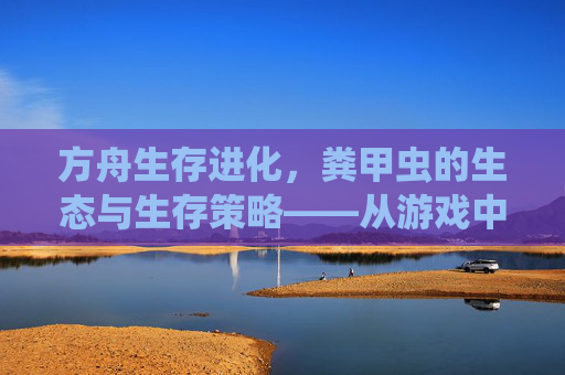 方舟生存进化,粪甲虫的生态与生存策略——从游戏中的小角色到资源循环的关键,方舟生存进化,粪甲虫的生态与生存策略——从游戏小角色到资源循环的关键