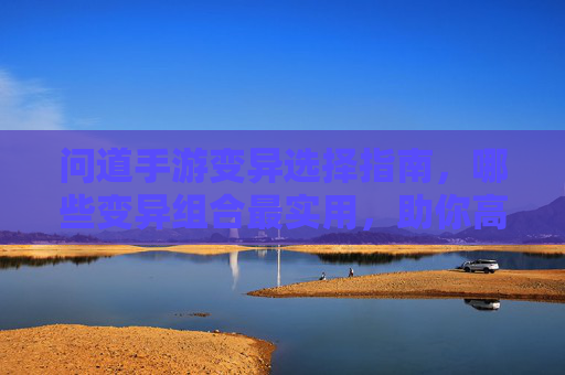 问道手游变异选择指南,哪些变异组合最实用,助你高效通关?问道手游变异选择指南,哪些变异组合最实用,助你高效通关?