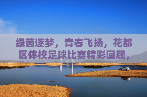 绿茵逐梦，青春飞扬，花都区体校足球比赛精彩回顾，绿茵逐梦，青春飞扬，花都区体校足球比赛精彩回顾
