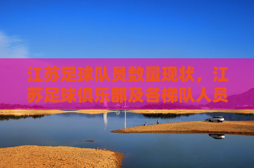 江苏足球队员数量现状,江苏足球俱乐部及各梯队人员构成分析,江苏足球队员数量现状与足球俱乐部及各梯队人员构成分析