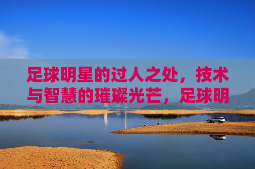 足球明星的过人之处,技术与智慧的璀璨光芒,足球明星的过人之处,技术与智慧的璀璨光芒