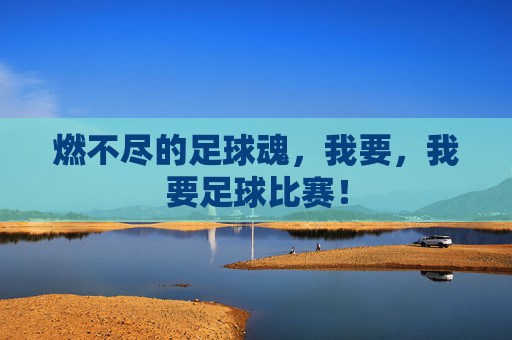 燃不尽的足球魂，我要，我要足球比赛！