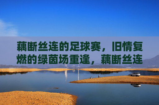 藕断丝连的足球赛,旧情复燃的绿茵场重逢,藕断丝连的足球赛,旧情复燃的绿茵场重逢