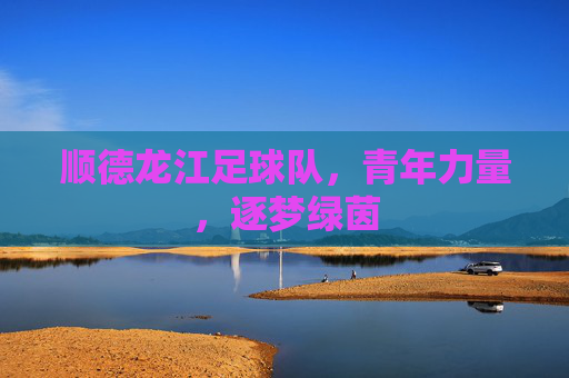 顺德龙江足球队，青年力量，逐梦绿茵