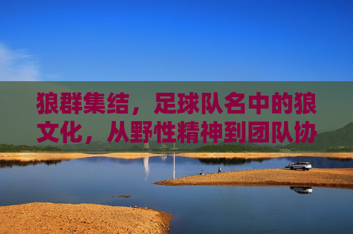 狼群集结，足球队名中的狼文化，从野性精神到团队协作的传承